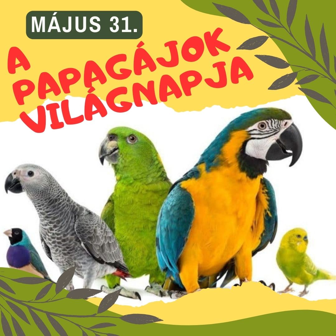 World Parrot Day